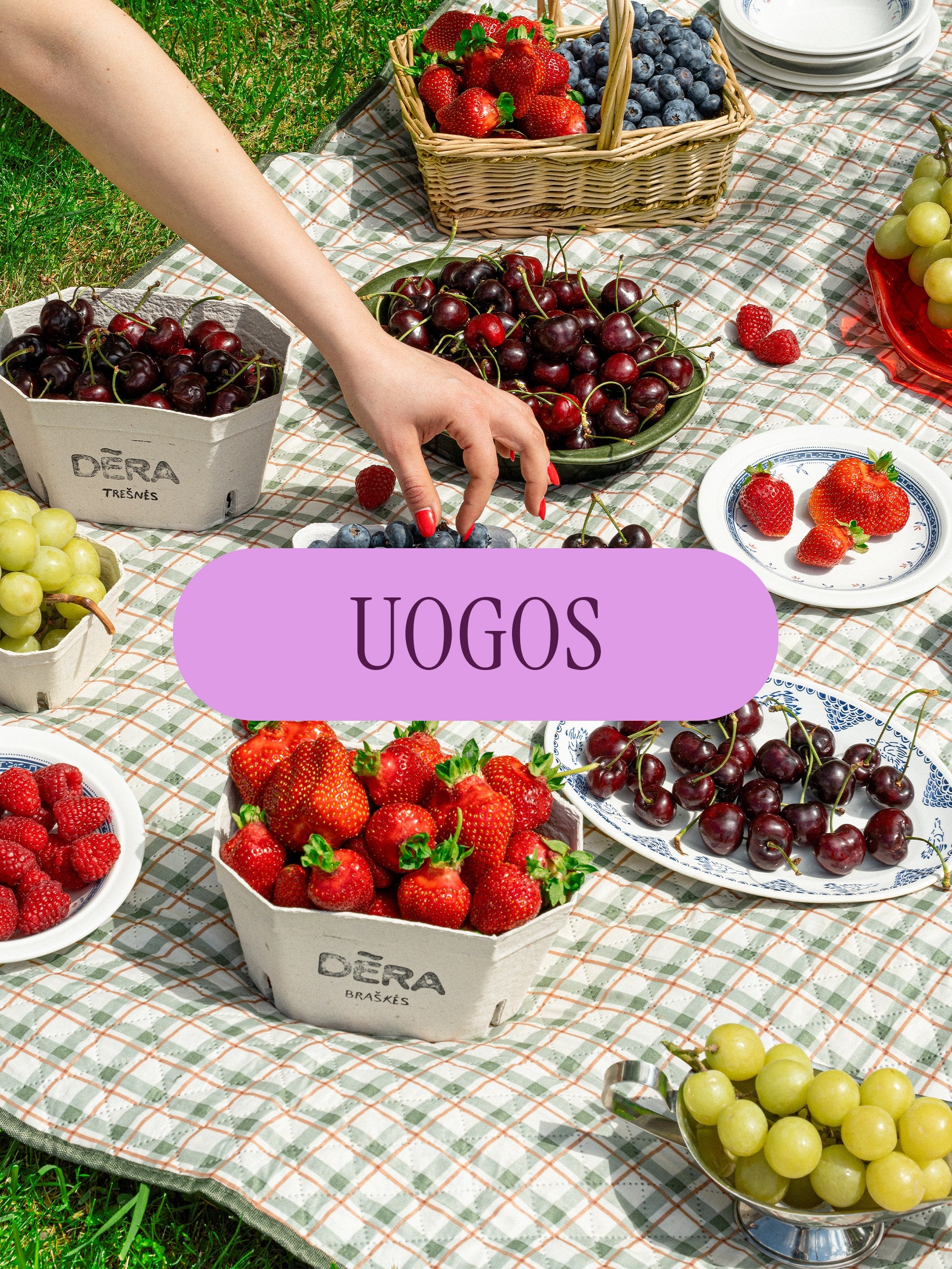 Uogos